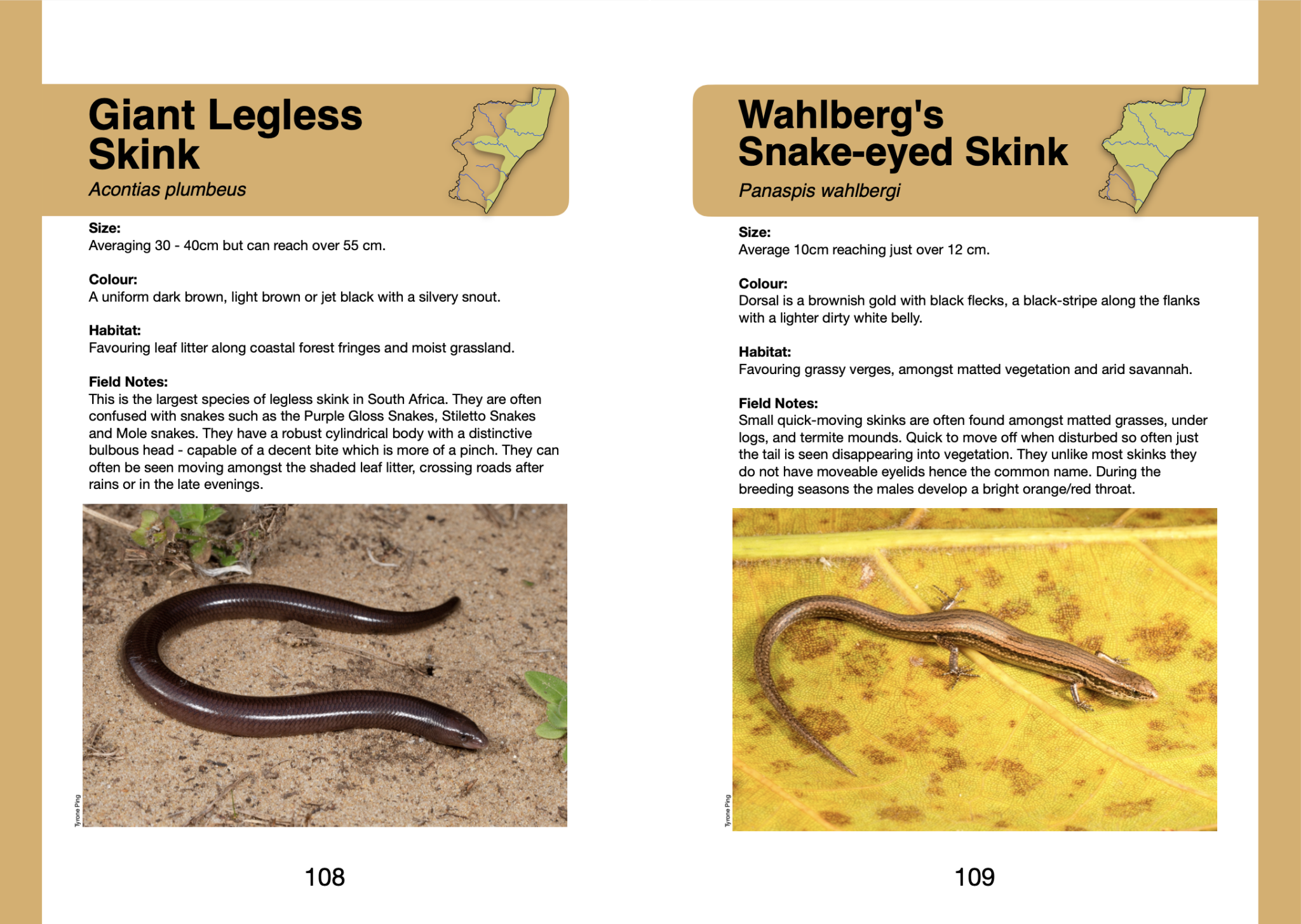 A FIELD GUIDE TO SNAKES & OTHER REPTILES OF KWAZULU-NATAL - Tyrone Ping