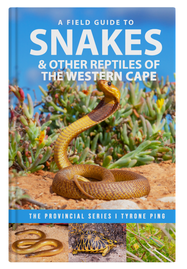 A FIELD GUIDE TO SNAKES & OTHER REPTILES OF KWAZULU-NATAL - Tyrone Ping